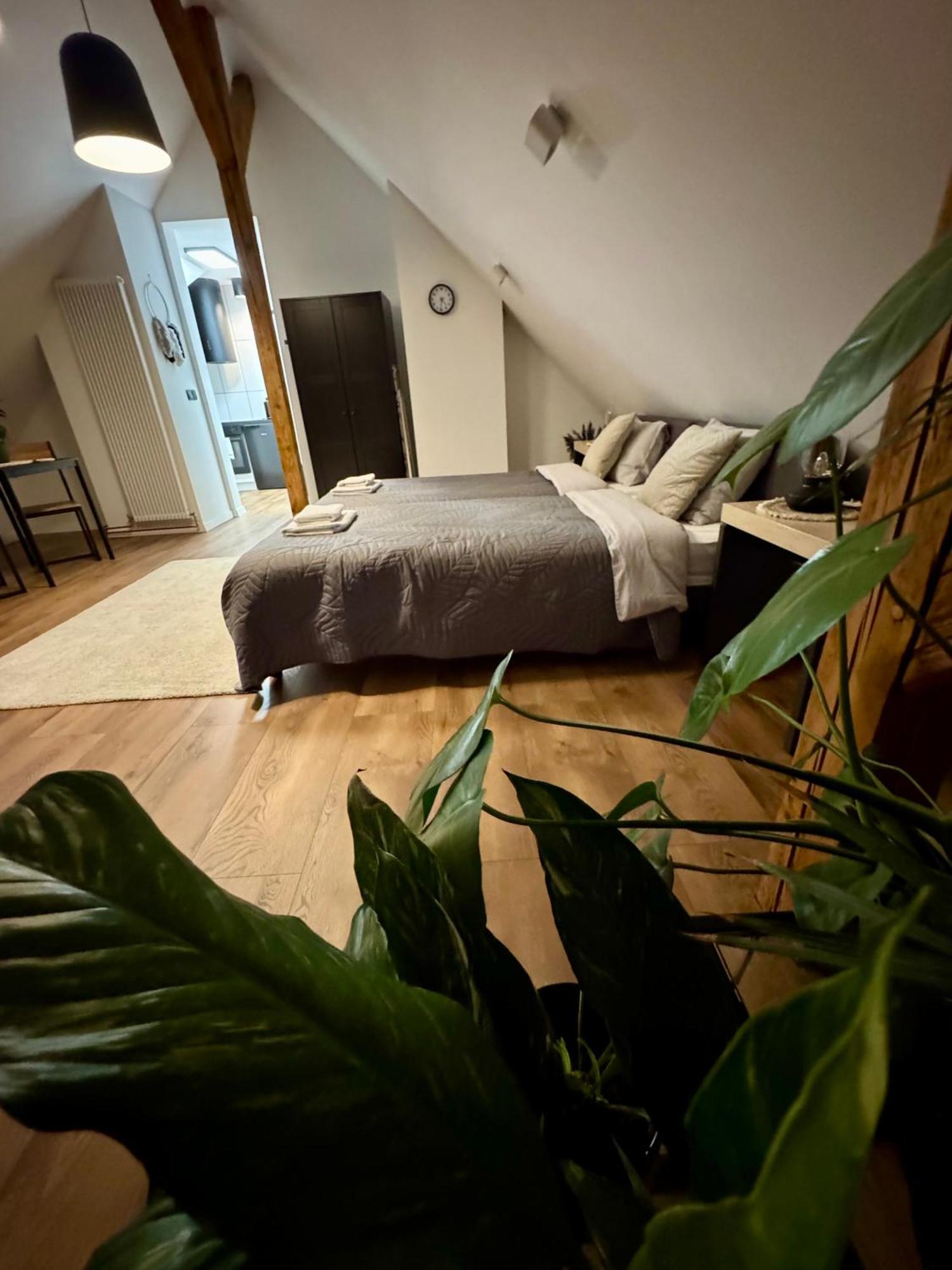 Apartamenty Astor - Ksiezycowy 斯扎瓦诺泽德霍 外观 照片